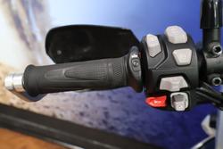 2023 TRIUMPH TIGER 900 RALLY PRO Green