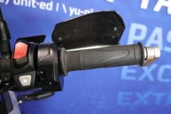 2023 TRIUMPH TIGER 900 RALLY PRO Green