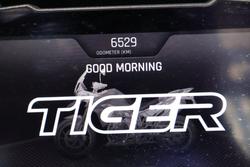 2023 TRIUMPH TIGER 900 RALLY PRO Green