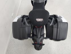 2024 Triumph TIGER SPORT 660 White