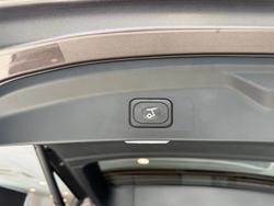 2025 Ford Everest Sport