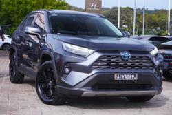 2022 Toyota RAV4 Cruiser