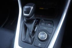 2022 Toyota RAV4 Cruiser