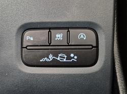 2024 Ford Everest Trend