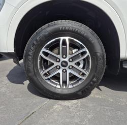 2024 Ford Everest Trend