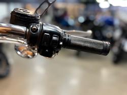 2007 HARLEY-DAVIDSON FLSTF FAT BOY