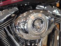 2007 HARLEY-DAVIDSON FLSTF FAT BOY