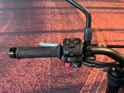 2026 Triumph Trident 660 Trident Grey