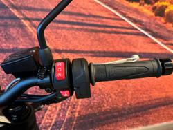 2026 Triumph Trident 660 Trident Grey