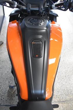 2021 HARLEY-DAVIDSON RA1250S PAN AMERICA SPECIAL