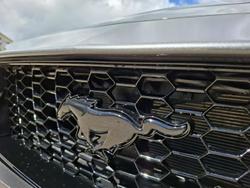 2024 Ford Mustang GT FO MY24.50 Dark Matter Grey