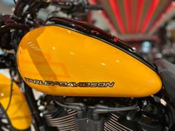 2025 Harley-Davidson Breakout 117 (FXBR) Softail