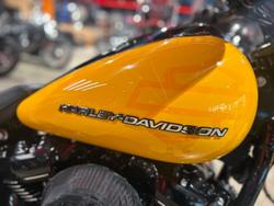 2025 Harley-Davidson Breakout 117 (FXBR) Softail