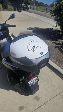 2024 BMW C 400 X C 400 White