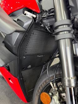 2024 DUCATI STREETFIGHTER V2 Red