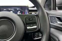 2025 GWM Cannon Vanta