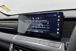 2025 GWM Cannon Vanta