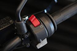 2025 BMW G 310 R G 310 Grey