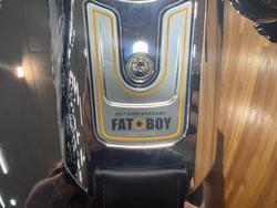 2025 HARLEY-DAVIDSON FLSTFI FAT BOY GRAY GHOST
