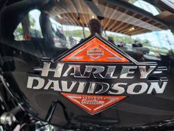 2025 HARLEY-DAVIDSON FLHX STREET GLIDE (117)