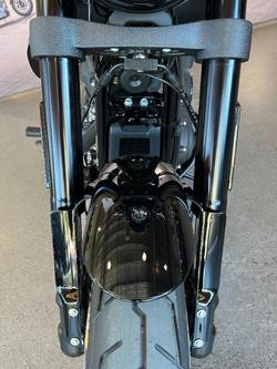 2026 HARLEY-DAVIDSON FXLRS LOW RIDER S (117)