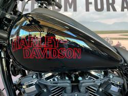 2026 HARLEY-DAVIDSON FXLRS LOW RIDER S (117)