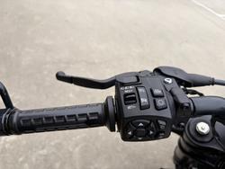 2022 HARLEY-DAVIDSON RH1250S SPORTSTER S White