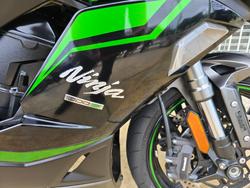 2024 Kawasaki NINJA 1000SX Green