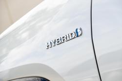 2024 Toyota RAV4 XSE