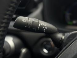 2024 Toyota RAV4 Cruiser