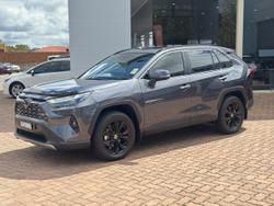 2024 Toyota RAV4 Cruiser