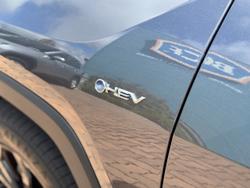 2024 Toyota RAV4 Cruiser