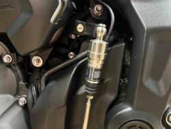 2025 TRIUMPH TRIDENT 660 White