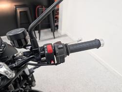 2024 Triumph 2024 Triumph 900CC Speed Twin 900 MATT KHAKI GREEN