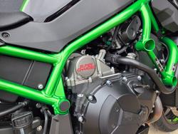 2020 Kawasaki Z H2 GREEN