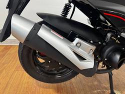 2025 ZOOT ROGUE Black