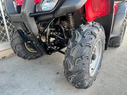 2006 Honda TRX350TE