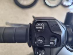 2025 Indian Scout Bobber