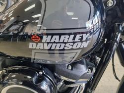 2022 Harley-Davidson Sport Glide 107 (FLSB)