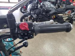 2025 Royal Enfield Goan Classic 350