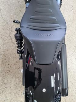 2025 Indian Sport Scout