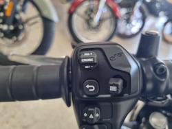 2025 Indian Sport Scout