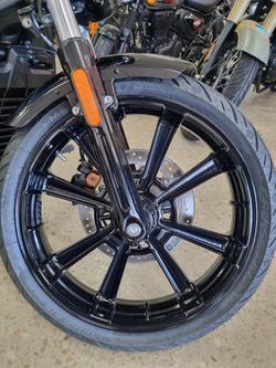 2025 Indian Sport Scout