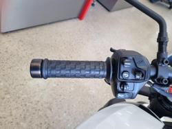 2024 Indian FTR 1200 S