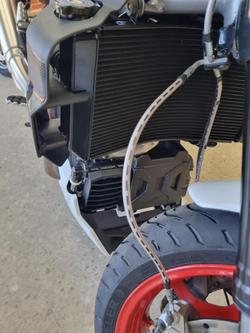 2024 Indian FTR 1200 S