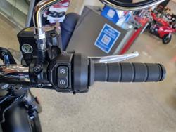 2025 Indian Super Scout