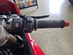 2015 Ducati 1299 Panigale