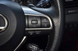 2019 Lexus RX