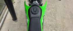 2025 Kawasaki KLX230 S GREEN