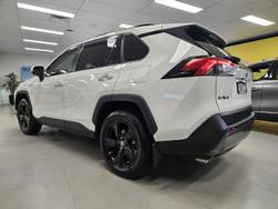 2021 Toyota RAV4 Cruiser